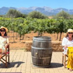 Small group- Exclusive Olive Oil & Wine Tour Mallorca - Why This Tour Is a Great Value