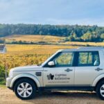 Small group full day tour in the Burgundy vineyards - Authenticity and Insider Insights