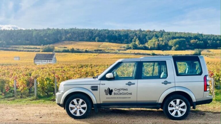 Small group full day tour in the Burgundy vineyards - Authenticity and Insider Insights