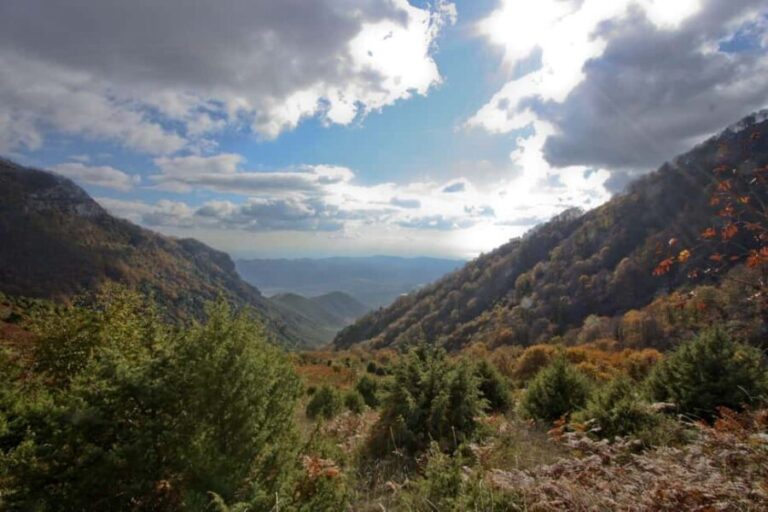 Small Group Kavala Tour: Pangaion Mountain & Wine Tasting - Olive Oil Tasting at a Local Estate