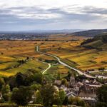 Small group tour Morning in Côte de Beaune - Final Thoughts