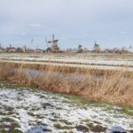 Small Group Zaanse Schans & Volendam Tour w/ Hotel Pick up - Who Will Love This Tour?