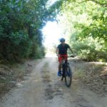 Small Villages and Cretan Nature. E-Bike tour - The Itinerary Breakdown