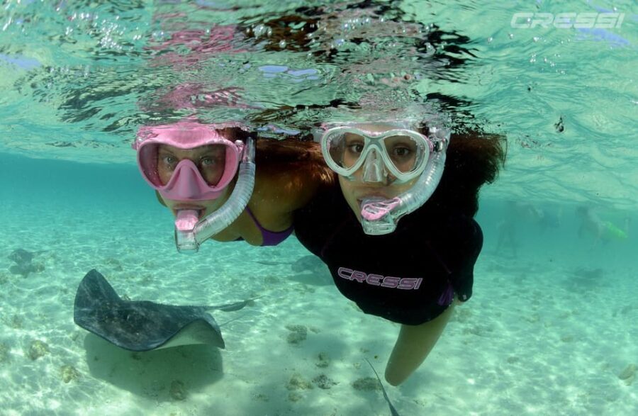 Snorkel tour Why not? - An In-Depth Look at the Snorkel Tour Why not?
