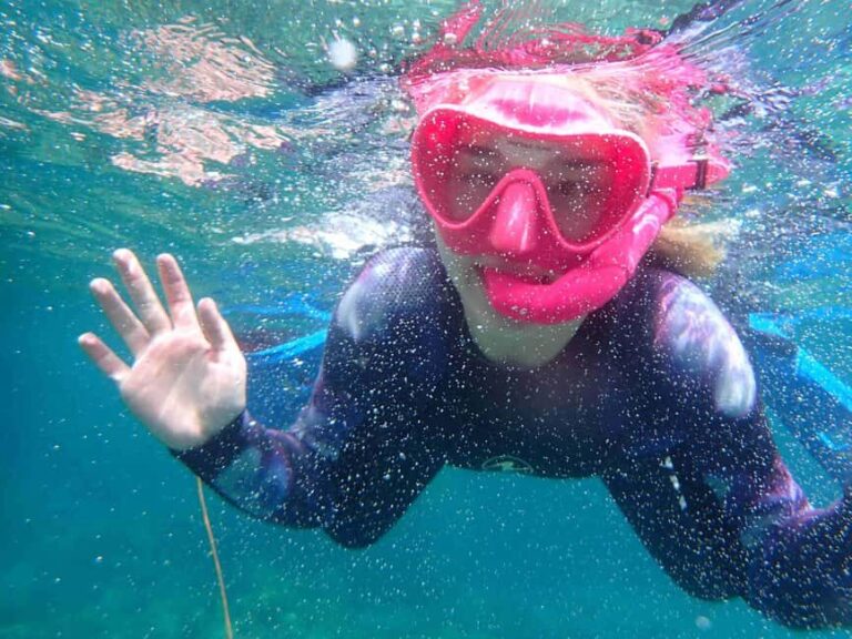 Snorkeling guided tours for tha all family! - What to Expect: Practical Details