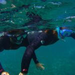 Snorkeling in a Volcanic Bay - Practical Tips for Your Snorkeling Trip