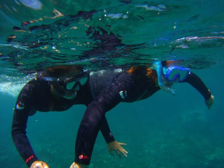 Snorkeling in a Volcanic Bay - Practical Tips for Your Snorkeling Trip