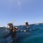 Snorkeling in tenerife south: Discover the underwater world - The Experience in Detail