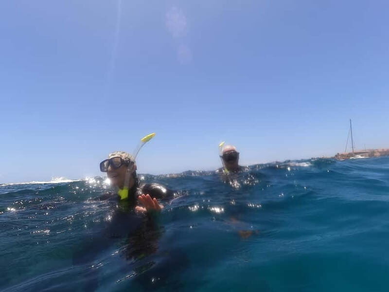 Snorkeling in tenerife south: Discover the underwater world - The Experience in Detail