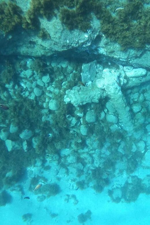 Snorkeling Tour- Vila Franca do Campo Islet - The Itinerary Breakdown