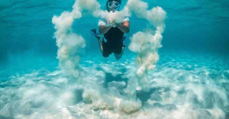 Snorkeling Trips in Amorgos - Authentic Marine Encounters: What Travelers Are Saying