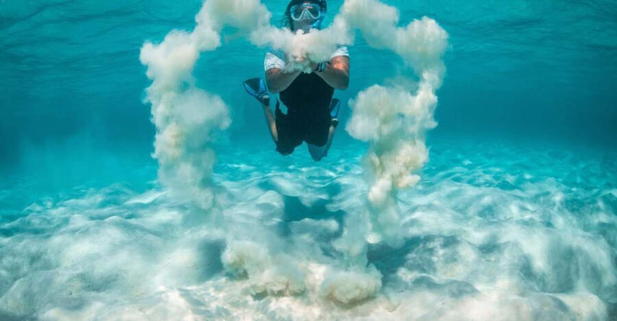 Snorkeling Trips in Amorgos - Authentic Marine Encounters: What Travelers Are Saying