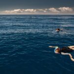 Snorkeling Wildlife in Terceira Island - FAQ