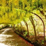 Snowdonia: Snowdonia, Bodnant Gardens & Castles Private Tour - Why This Tour Offers Great Value