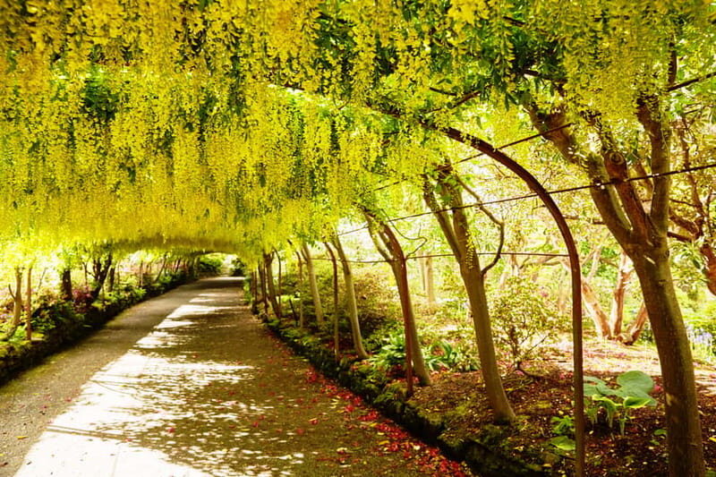 Snowdonia: Snowdonia, Bodnant Gardens & Castles Private Tour - Why This Tour Offers Great Value