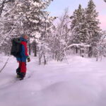 Snowshoe in a Winter Forest - The Review from Participants