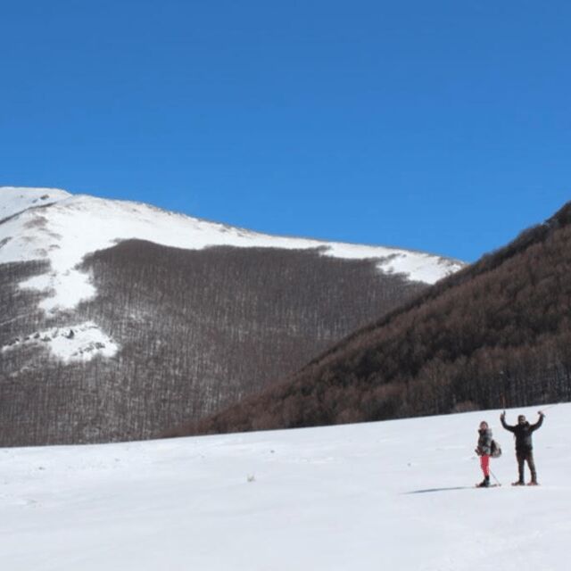 Snowshoeing in the Pollino National Park - Who Is This Tour Best For?
