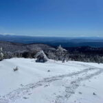 Snowshoeing on the Lure mountain - An In-Depth Look at Snowshoeing on the Lure Mountain