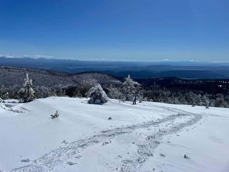 Snowshoeing on the Lure mountain - An In-Depth Look at Snowshoeing on the Lure Mountain
