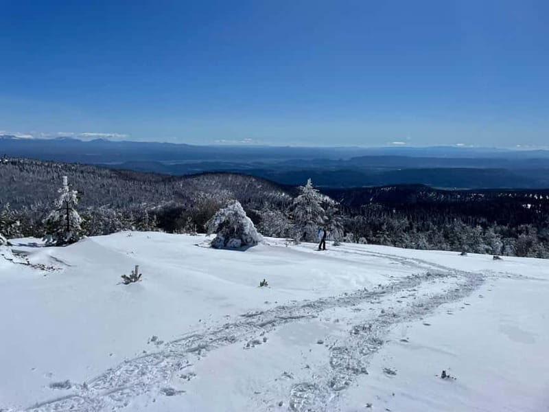Snowshoeing on the Lure mountain - An In-Depth Look at Snowshoeing on the Lure Mountain