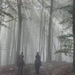 Söderåsens Nationalpark: 2,5h horse back ride - What Makes This Ride Stand Out?