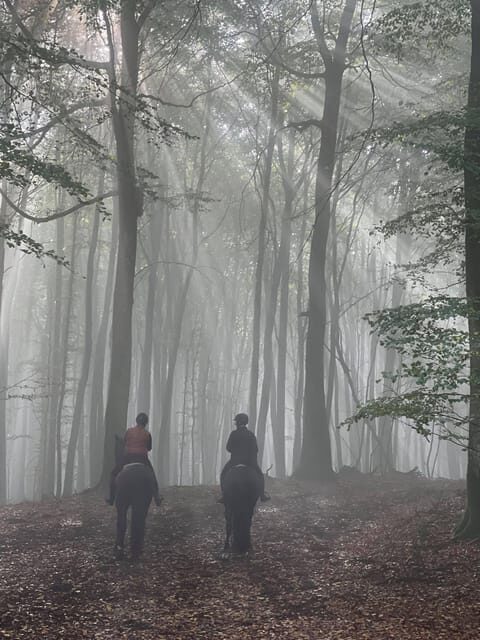 Söderåsens Nationalpark: 2,5h horse back ride - What Makes This Ride Stand Out?