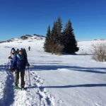Sofia: Black Peak-Vitosha Mountain Snowshoeing Day Trip - Why This Tour Offers Great Value