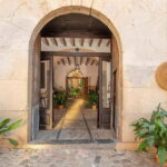 Sóller: Olive Oil Guided Tour and Tasting at Can Det Estate - What to Expect from the Can Det Olive Oil Tour