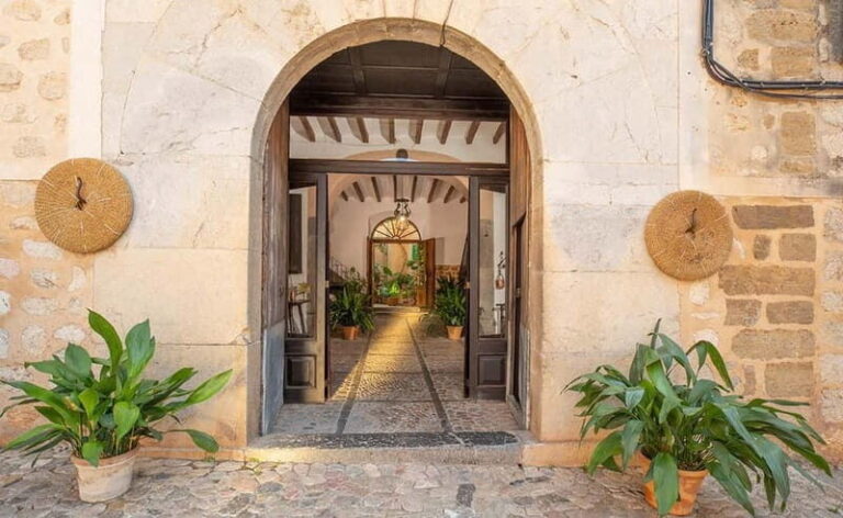 Sóller: Olive Oil Guided Tour and Tasting at Can Det Estate - What to Expect from the Can Det Olive Oil Tour