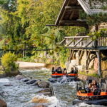 Soltau: Heide Park Resort Day Ticket - Authentic Visitor Insights