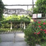 Sorrento: Lemon Garden Guided Tour with Tastings - Is This Tour Right for You?