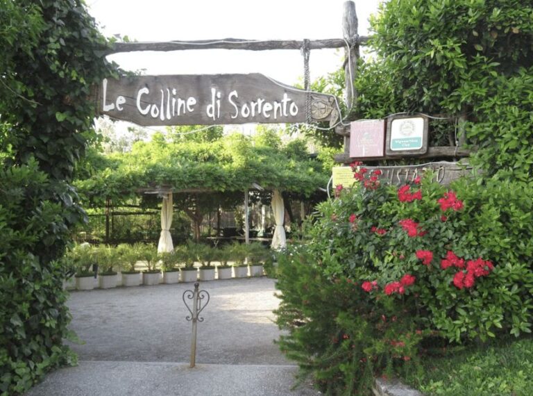 Sorrento: Lemon Garden Guided Tour with Tastings - Is This Tour Right for You?