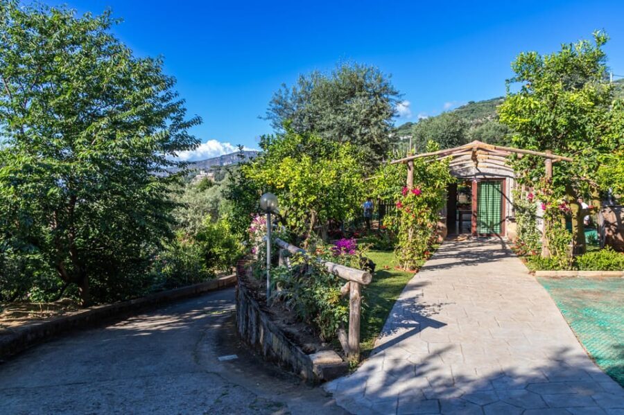 SORRENTO: Sunset Limoncello Making After-Dinner Experience - An In-Depth Look at the Sunset Limoncello Making Experience