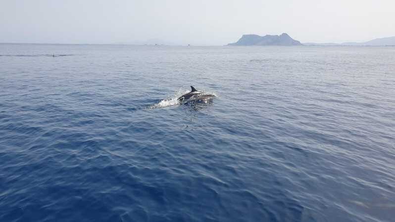 Sotogrande: Dolphin watching experience with expert crew - Who is this tour best suited for?