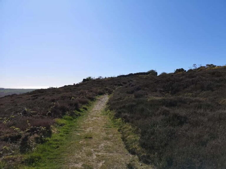South Stack: Coastal Walking Tour with Café & History - A Closer Look at the Coastal Adventure