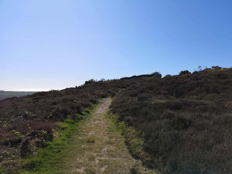 South Stack: Coastal Walking Tour with Café & History - A Closer Look at the Coastal Adventure