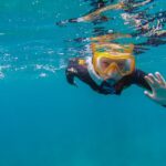 South Tenerife: Guided Snorkeling - Why This Tour Offers Great Value