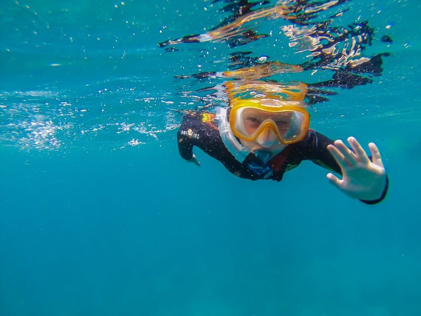 South Tenerife: Guided Snorkeling - Why This Tour Offers Great Value