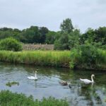 Southampton: Cotswolds Private Tour - An In-Depth Review of the Southampton: Cotswolds Private Tour