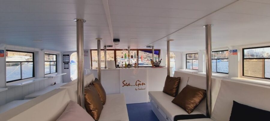 Southeast Fuerteventura: Boat Cruise with Lunch and Drinks - The Practicalities: What You Need to Know