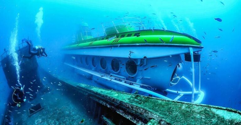 Southern Tenerife: 50-Minute Submarine Dive - What Travelers Say: Real Experiences and Insights