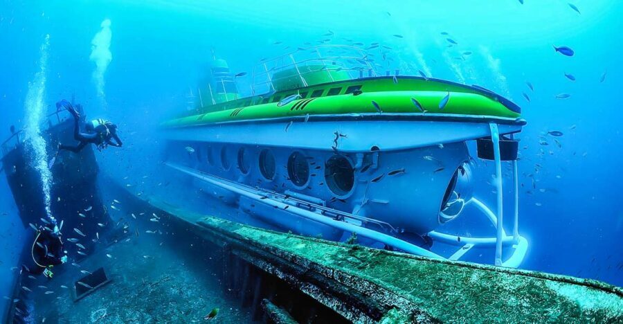 Southern Tenerife: 50-Minute Submarine Dive - What Travelers Say: Real Experiences and Insights