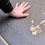 Spanish Language : Original Harry Potter Tour of Edinburgh - What To Expect During the Tour