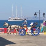 Spetses Island: Full Day Trip from Athens with Swimming - The Private Sea Taxi—A Scenic Shortcut to Paradise