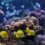 Speyer: SEA LIFE Behind the Scenes Tour - Final Thoughts: Is It Worth It?