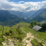 Spiez: Summit Mt. Niesen with a Swiss Triathlete - An In-Depth Look at the Mt. Niesen Experience