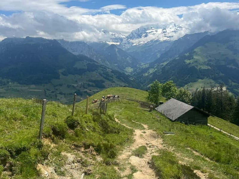 Spiez: Summit Mt. Niesen with a Swiss Triathlete - An In-Depth Look at the Mt. Niesen Experience