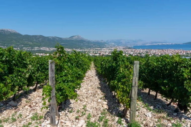 Split: Katela Wine Tasting and Food Pairing - Exploring the Itinerary: What Makes It Special