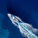 Split: Private Boat Rental - What to Expect from the Private Speedboat Rental