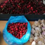 Split; Private Morning Walking Tour in Split - Final Thoughts